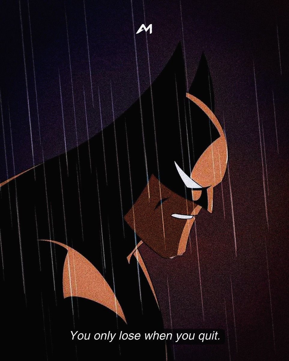 Bat Gallery 🦇 tweet media