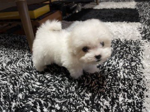 너 얼굴 내 취향⁶⁵ tweet media