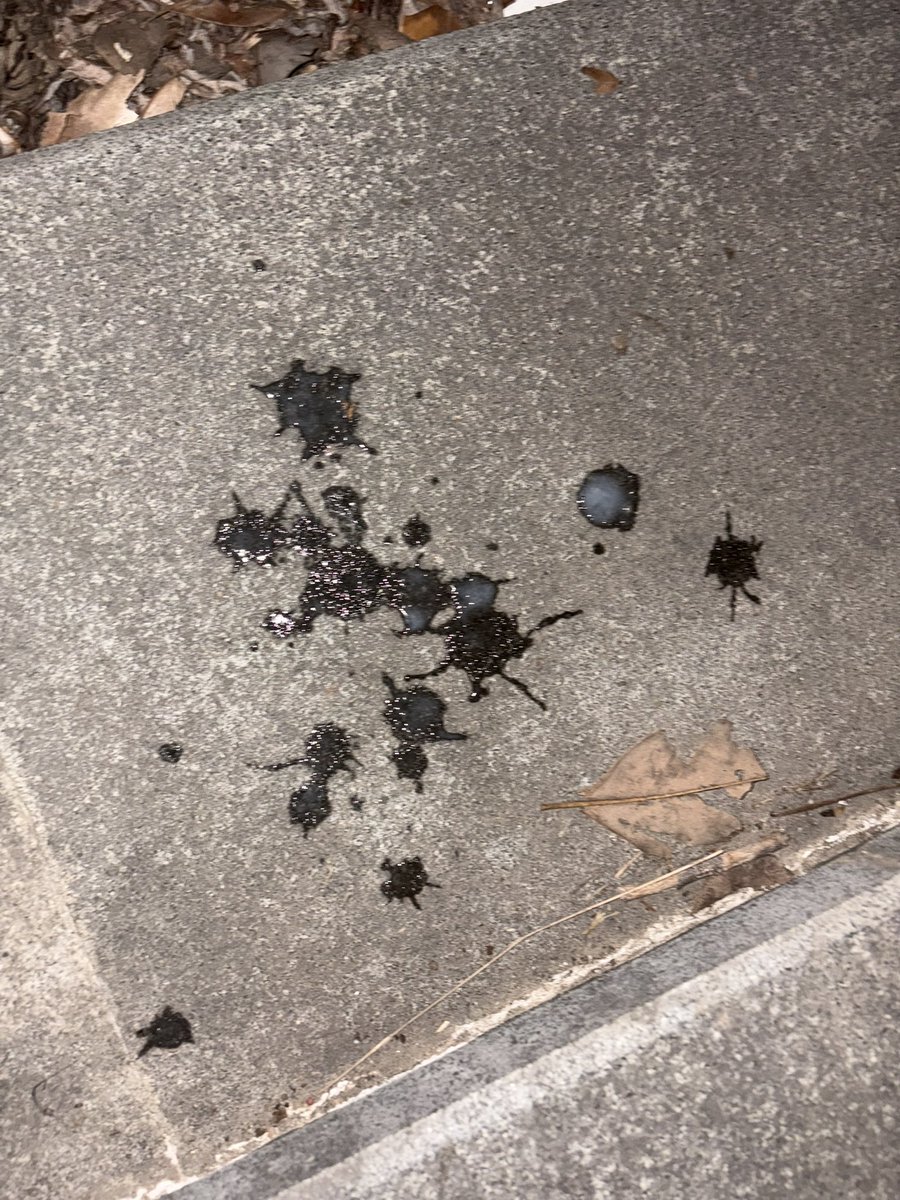 福格𐂂🌲☻ tweet media