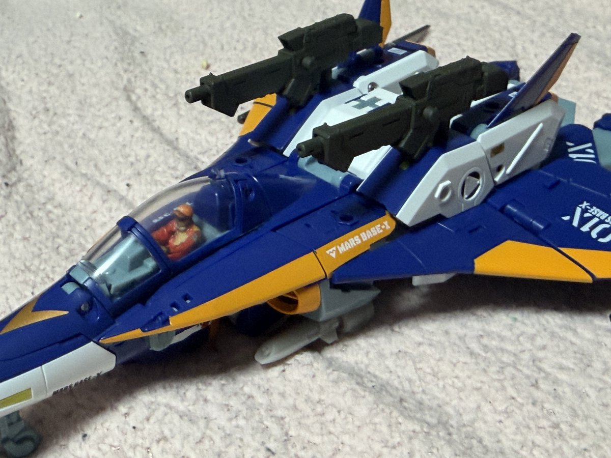 アザラシ@奥武蔵支部しれぇ tweet media