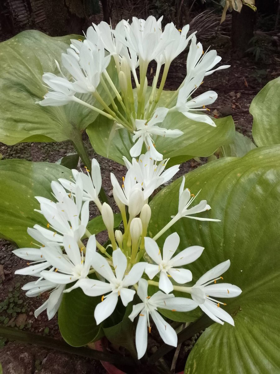 Sup❤️ tweet media