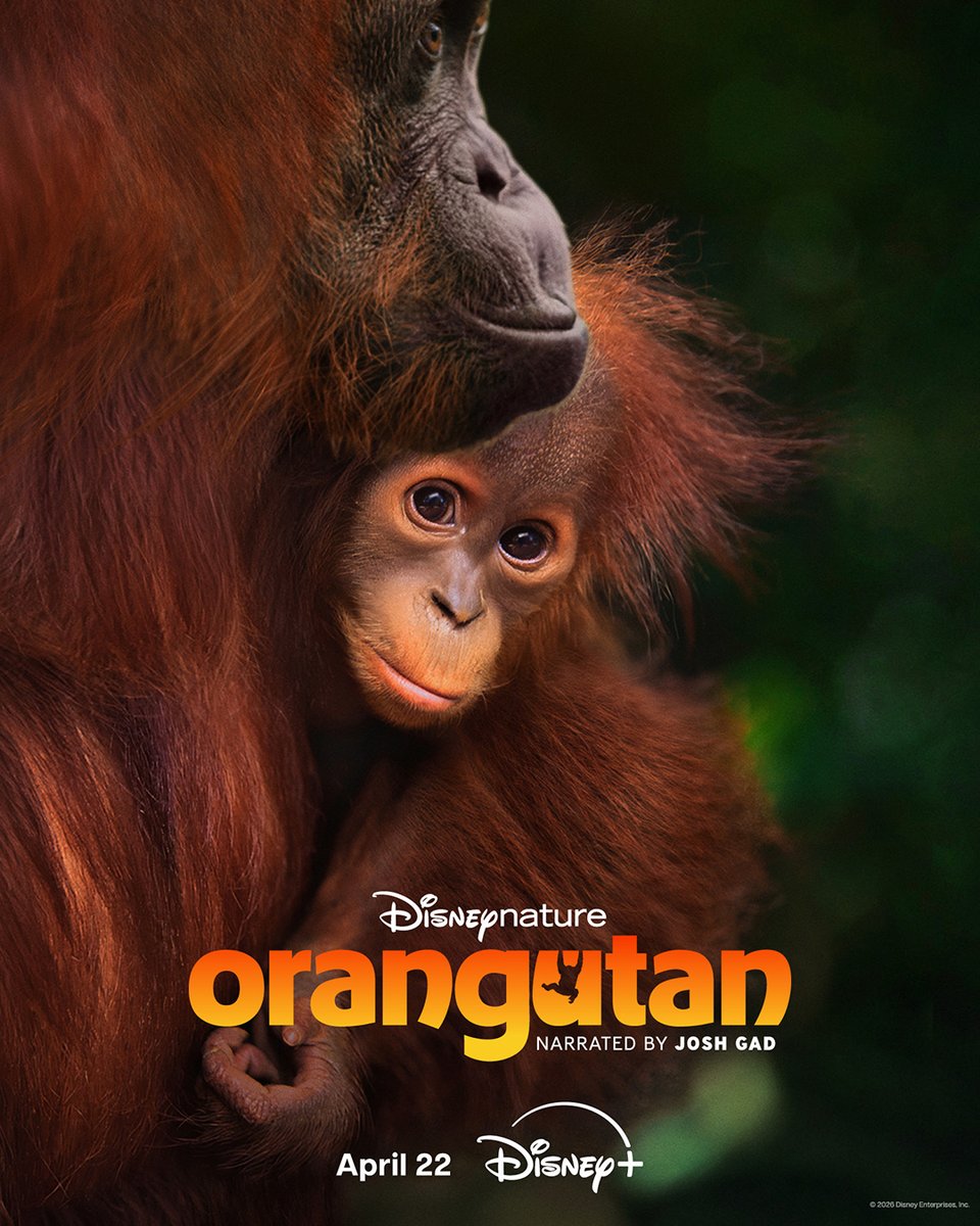 Disney+ Philippines tweet media