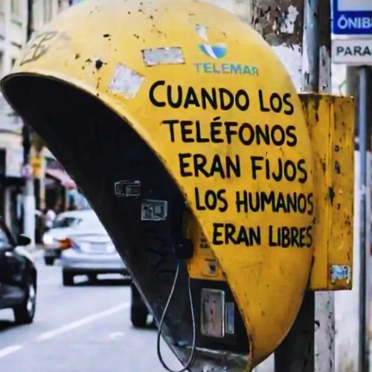 Rincón Curioso tweet media