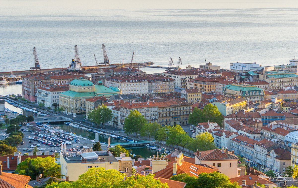Goran Grudić tweet media