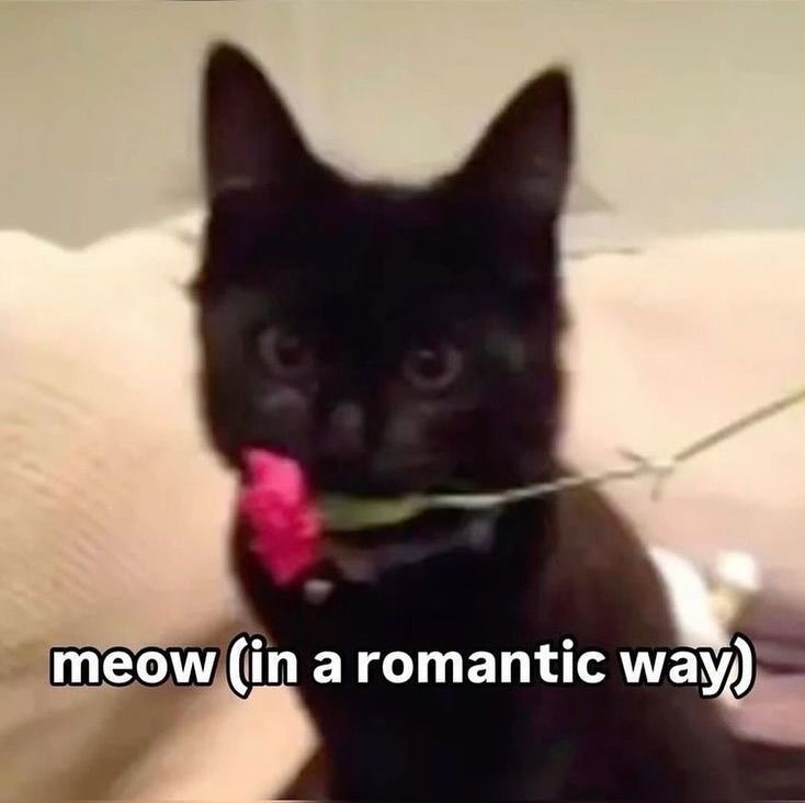 최우성 tweet media