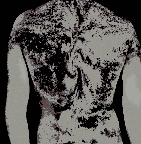 ‍ ‍ ‍ ‍ ‍ ‍ 𝖇ullets ‍ ‍i̲n ‍ b𝖆𝖑𝖉𝖔𝖑𝖎𝖊𝖗𝖘. tweet media