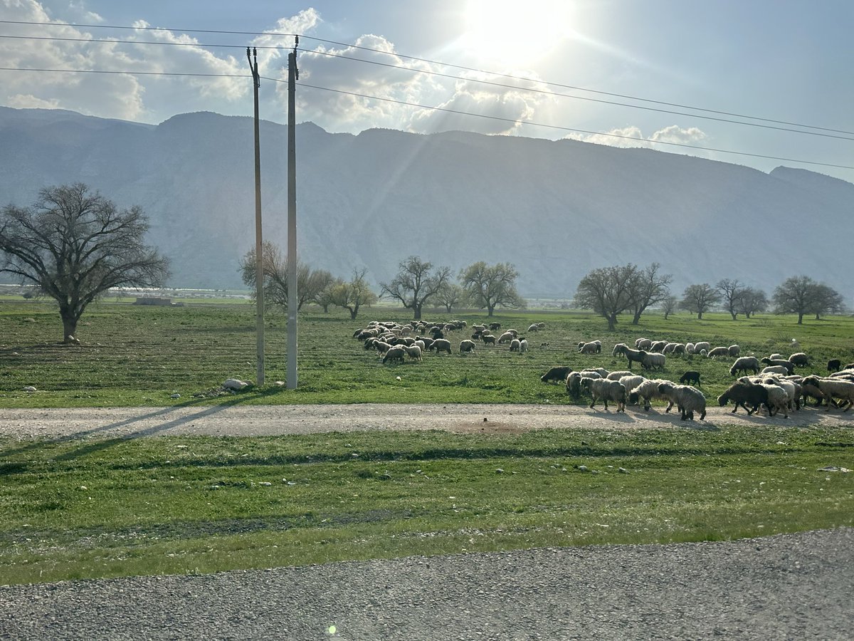 Helyeh Doutaghi tweet media