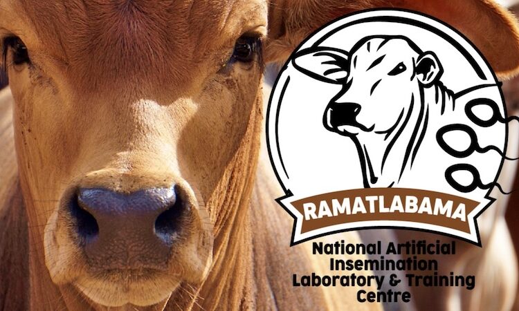 African Farming tweet media