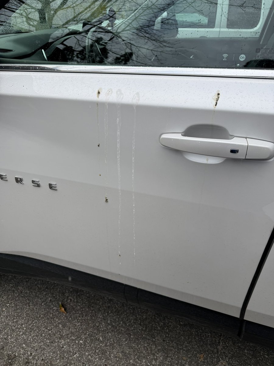 Jossie Mealegro 🇺🇸 tweet media