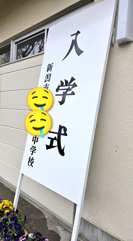 たんぽぽ毛 (肉豆腐🥩) tweet media