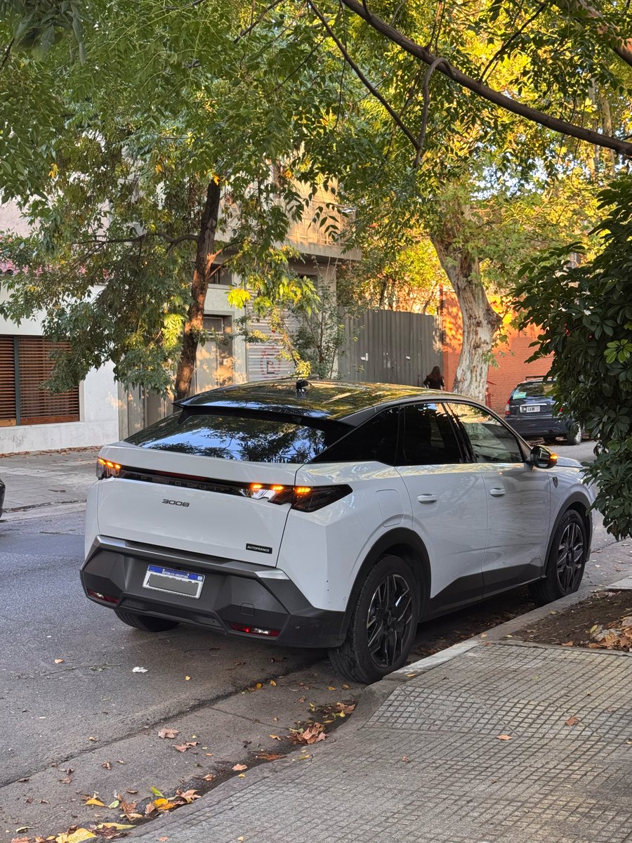 Nic 🐻 tweet media