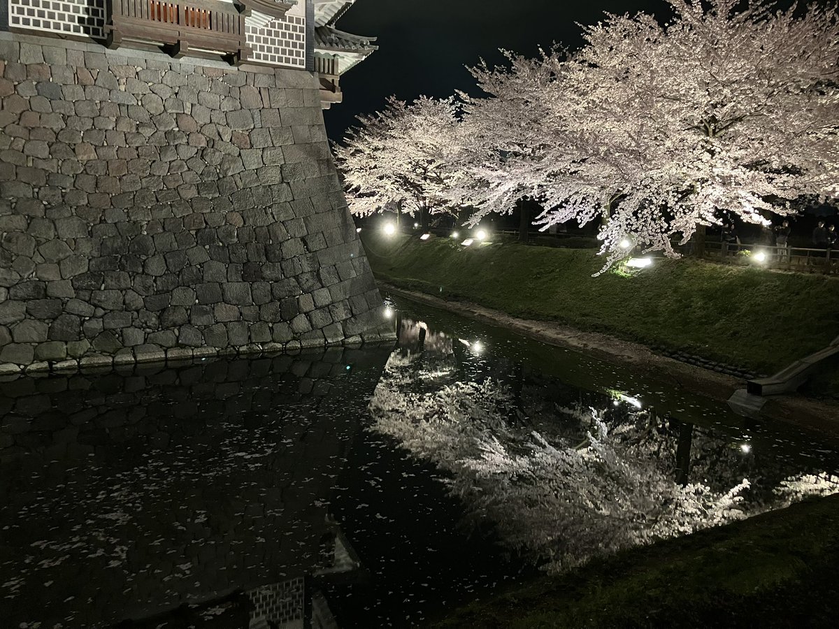 b_oz3dg's tweet photo. 反射効果で2倍楽しめる桜❕ https://t.co/O3VZnrLpcz