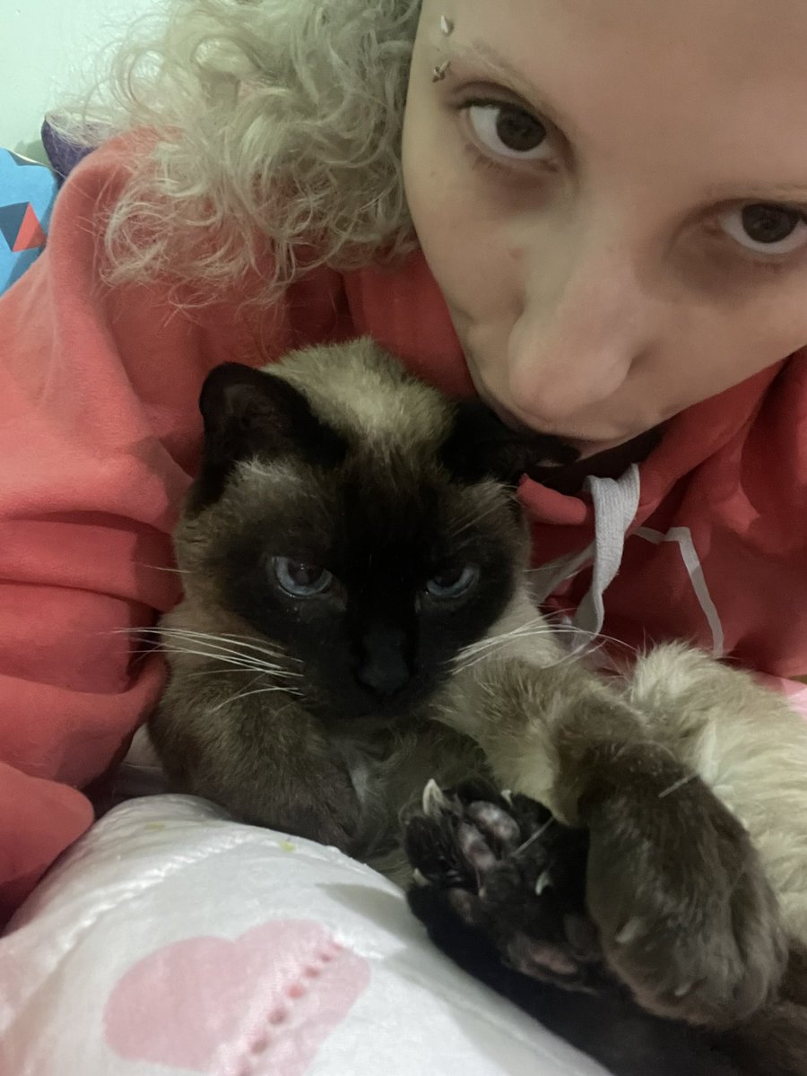 °☆•° sof °•☆° tweet media