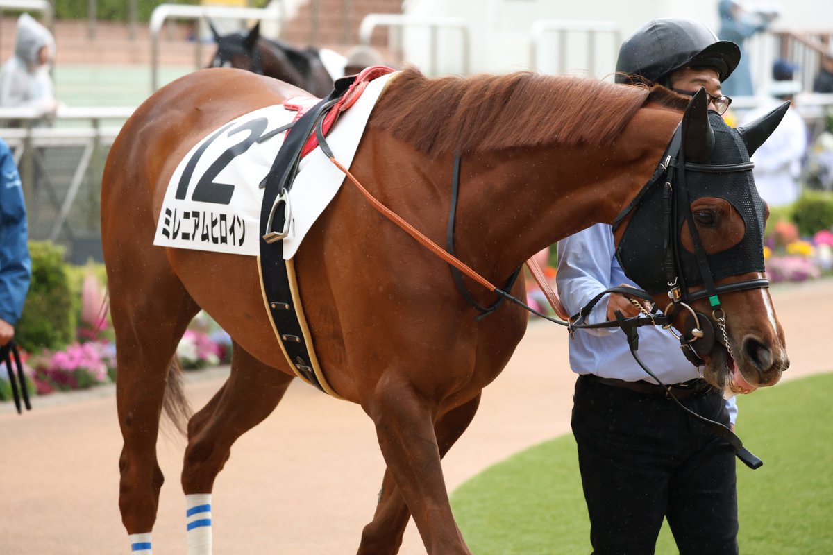 ジャンプレース応援隊 tweet media