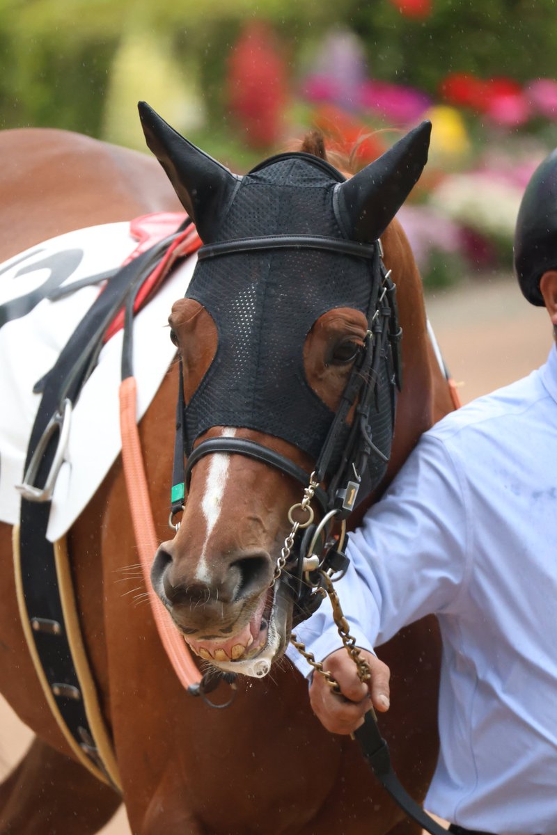 ジャンプレース応援隊 tweet media