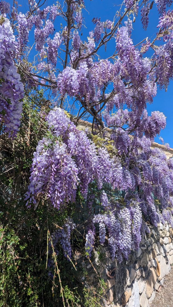 🇵🇦🇸🇨🇦🇱 🌞🌞😎 tweet media