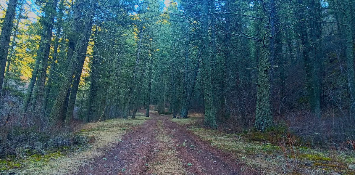 Bharat 🇮🇳 tweet media