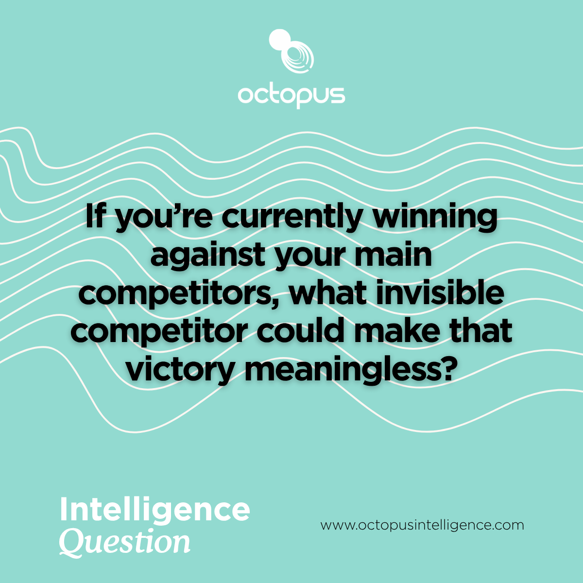 Octopus Intelligence tweet media