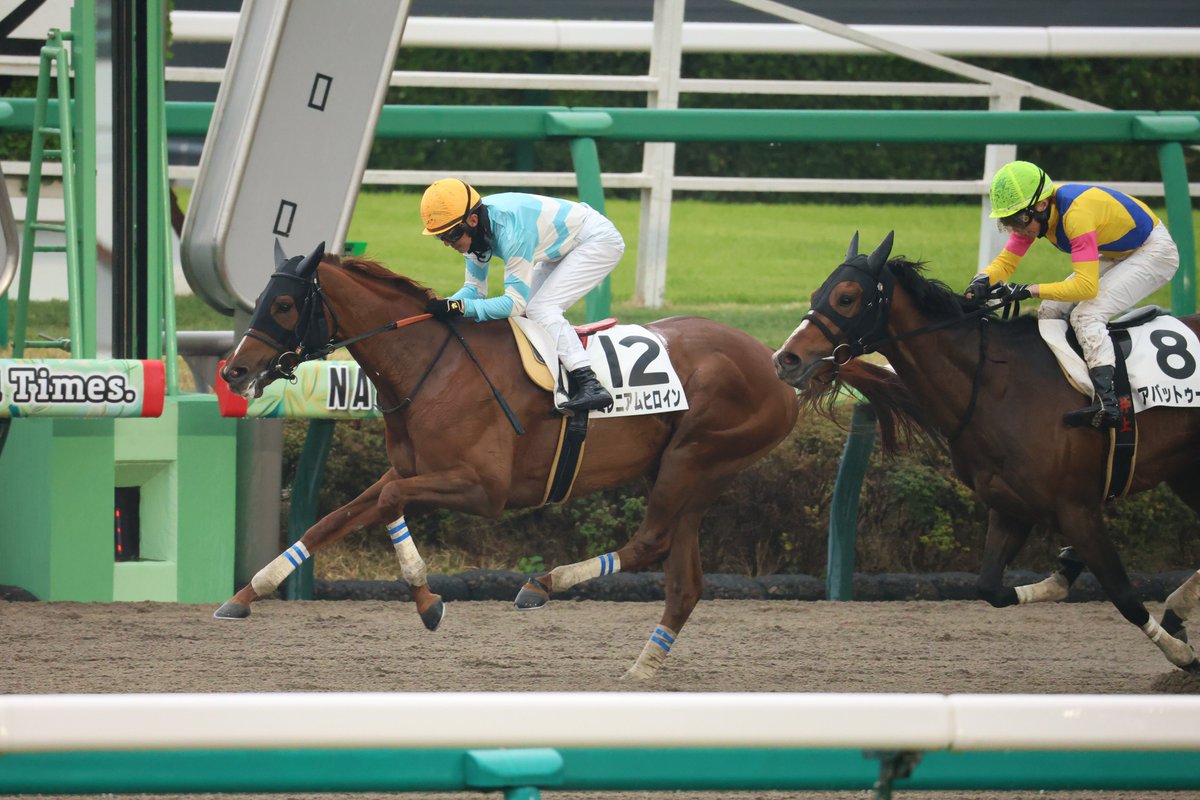 ジャンプレース応援隊 tweet media