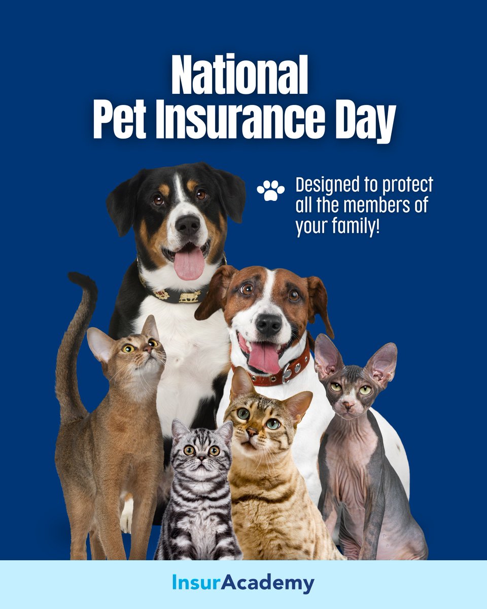 InsurAcademy tweet media