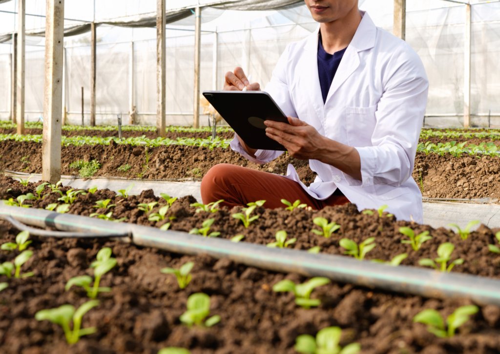 Euroseeds tweet media