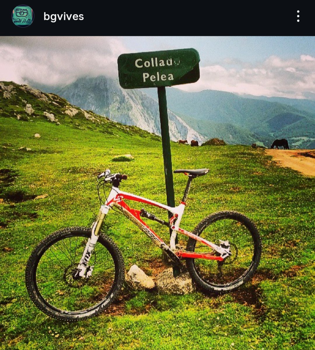 Bruno González Vives tweet media