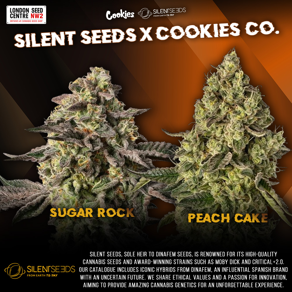 London Seed Centre tweet media