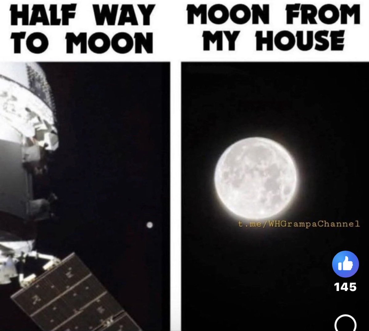 THESWEDISHTRUTH tweet media