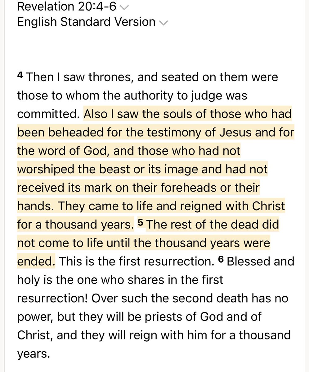 Warrior Priest Blog tweet media