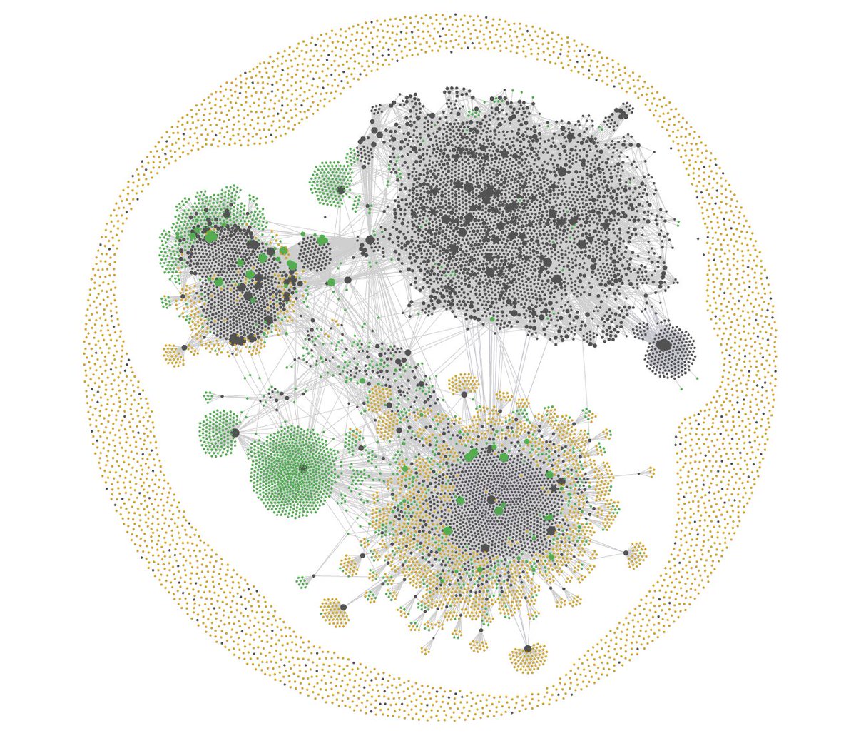 Major | Anthony Gonnet Vandepoorte🇨🇭 tweet media