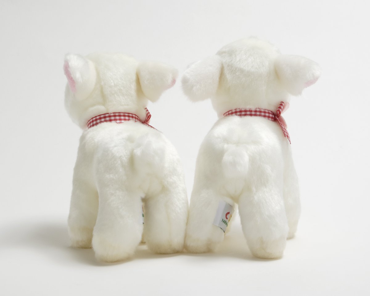 足立区生物園 tweet media