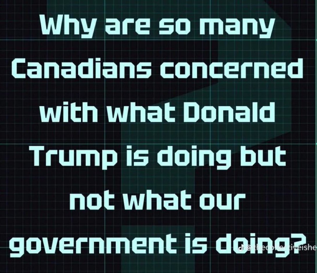 Concern70732755's tweet photo. Turn your attention to the liberal government &amp; hold them accountable-don’t allow them to deflect their failures on the USA ! https://t.co/7CbfQ3v1Bz