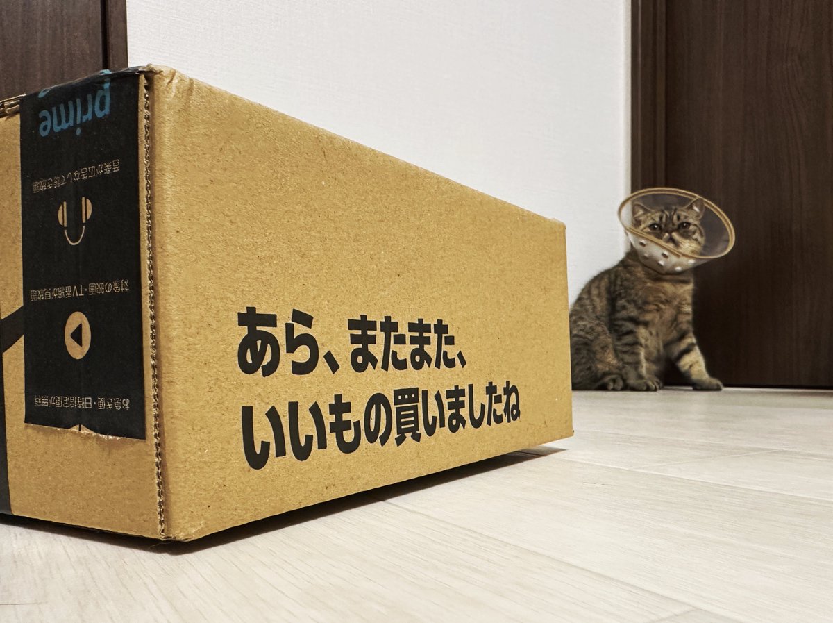 マンションの管理会社さんが解錠してくれて、案の定、うちの荷物が入ってました😭
別の住所に配送されたと主張してたカスタマーサポートの女性にはモヤるけど見つかって良かったです。
解錠費用の件もやりとりで解決しそうなので一安心。
なぜか箱の外装には煽られてるような気がするけれど…