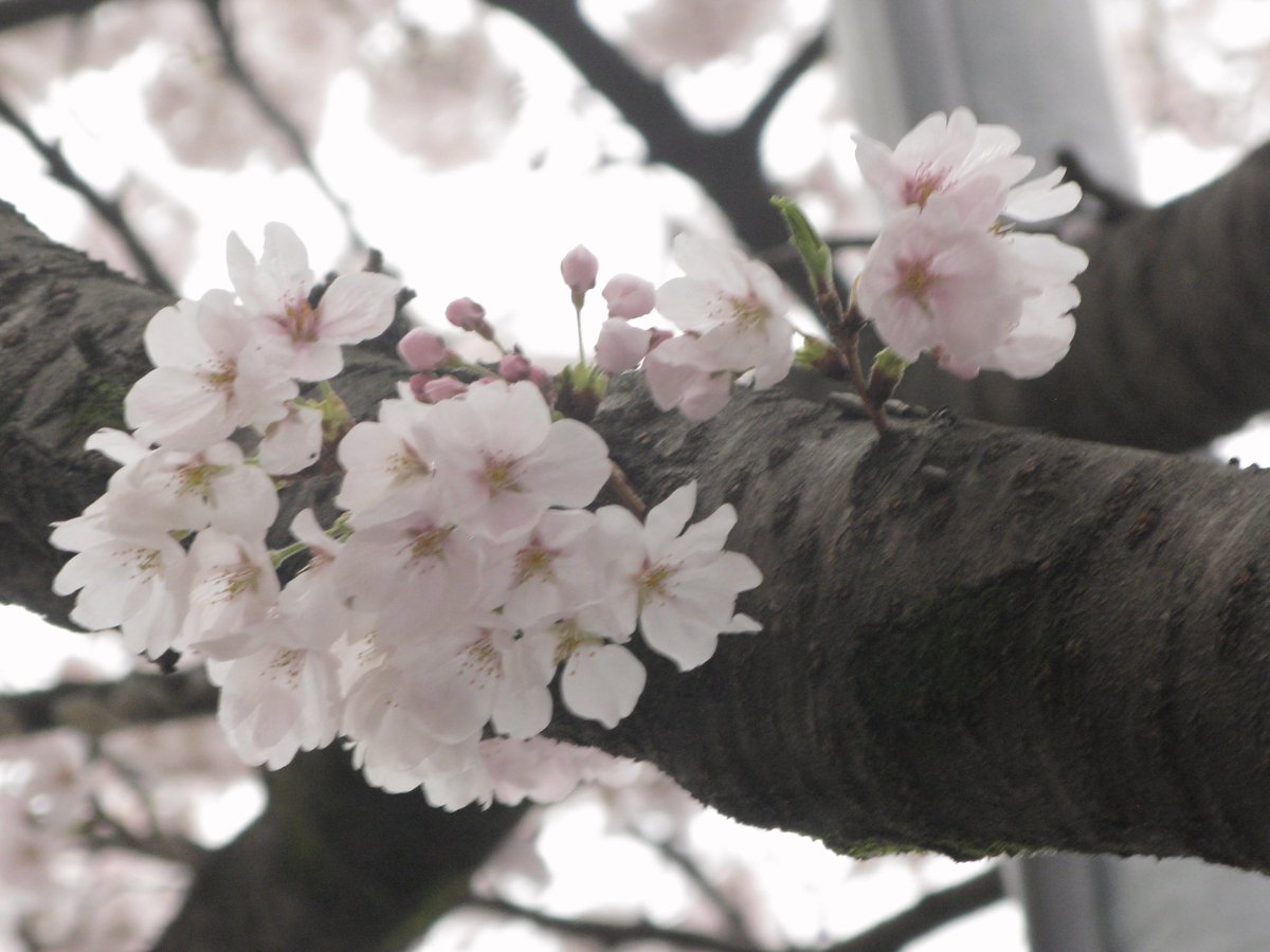 wooyeon.. tweet media