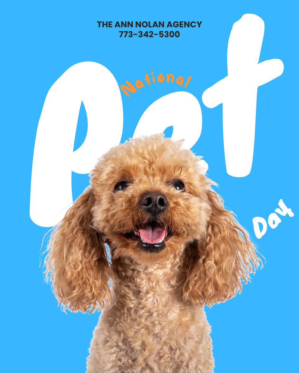 Happy National Pet Insurance Day! 🐾 Let's celebrate the furry, feathery, and scaly friends who fill our lives with happiness. Protecting their health means more adventures together.

Let's chat about keeping your pets protected!

📲773-342-5300
💻annnolan.com