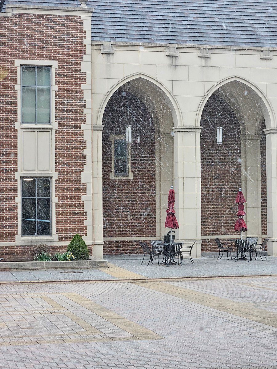 GCCGradPrograms's tweet photo. 4.6.26 on @GroveCtyCollege campus. Spring in western PA https://t.co/G9Kr32lE1n
