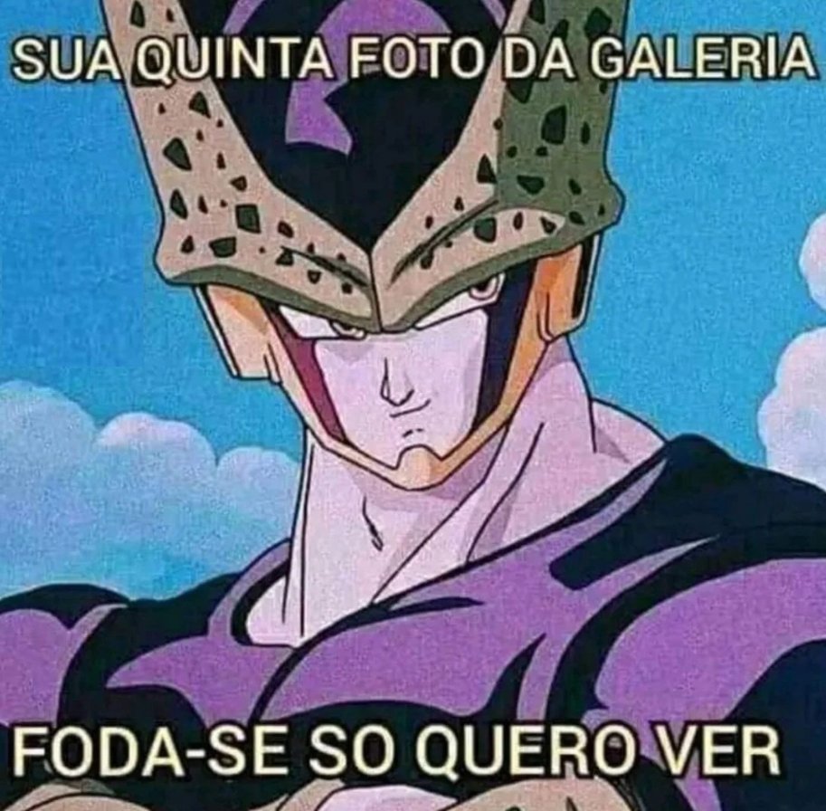 memes.jpeg tweet media