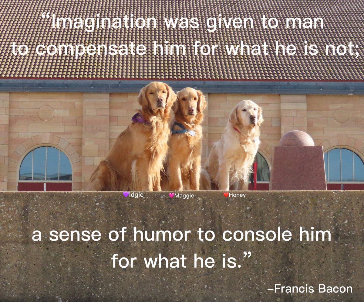 Darbi Jo The Golden tweet media