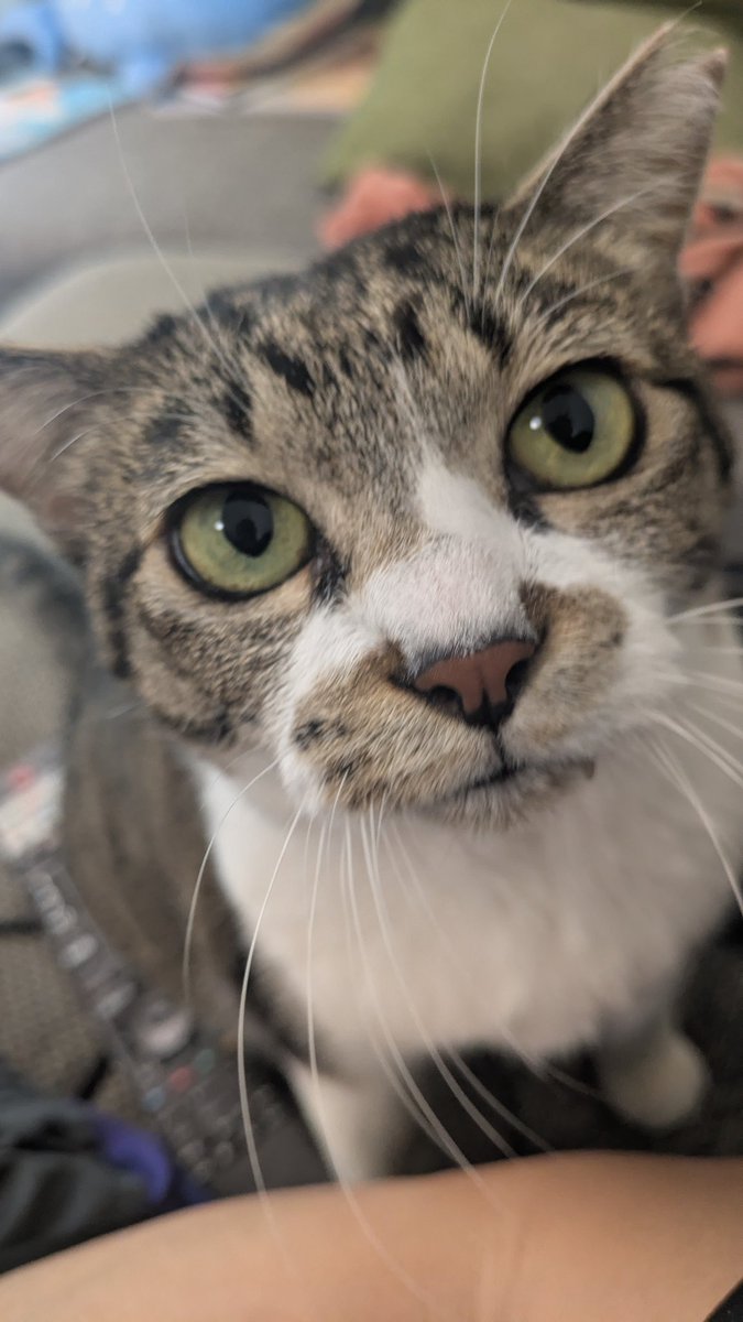 中野 元@看護師修行中 tweet media