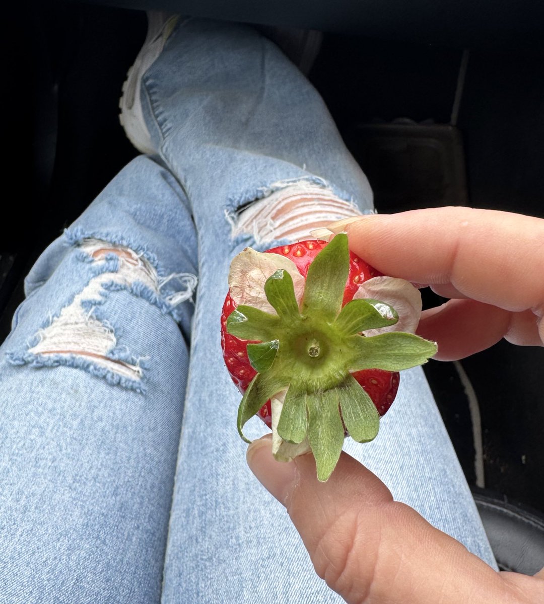 Goddess Lou tweet media