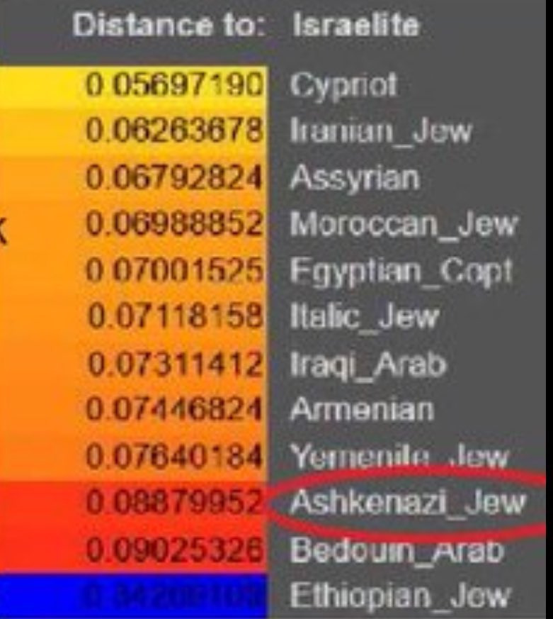 #israelOUT tweet media