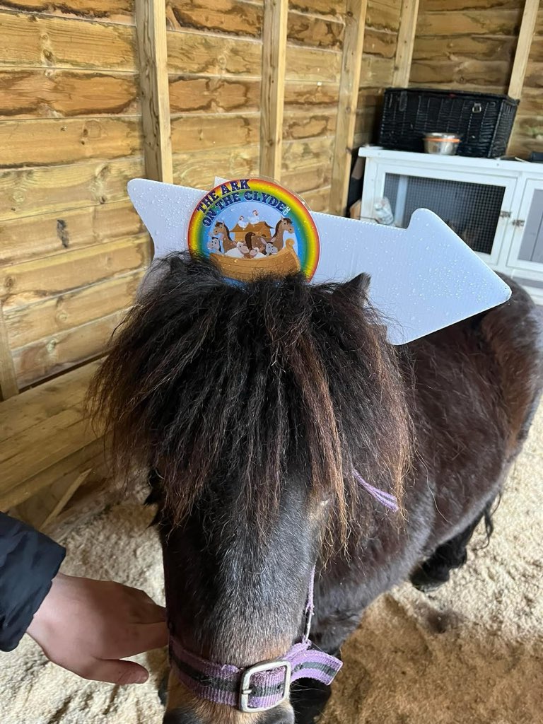 ArkOnTheClyde's tweet photo. The pony’s approving the new signs made by clydeside https://t.co/tvpF5zA08G