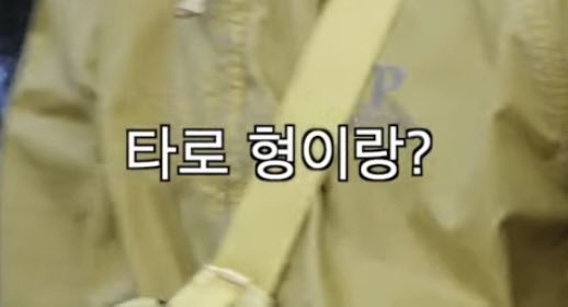 밤숑비 tweet media