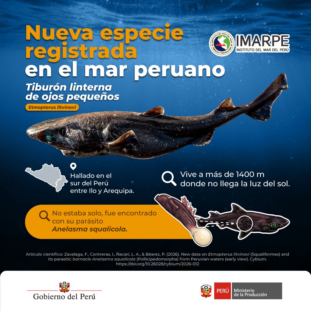 Ministerio de la Producción tweet media