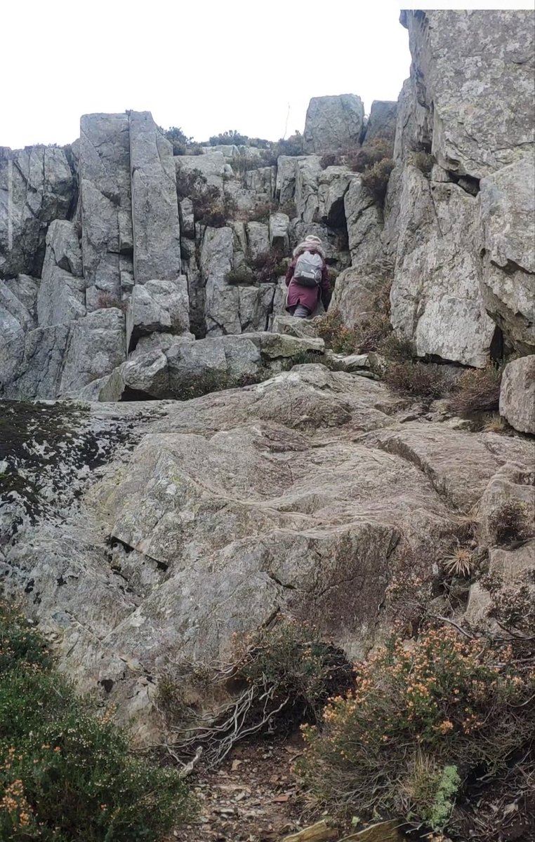 Titchbwfc ✈️ 🏨 $trvl tweet media