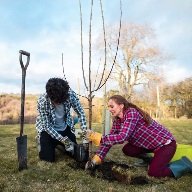 University of Stirling tweet media