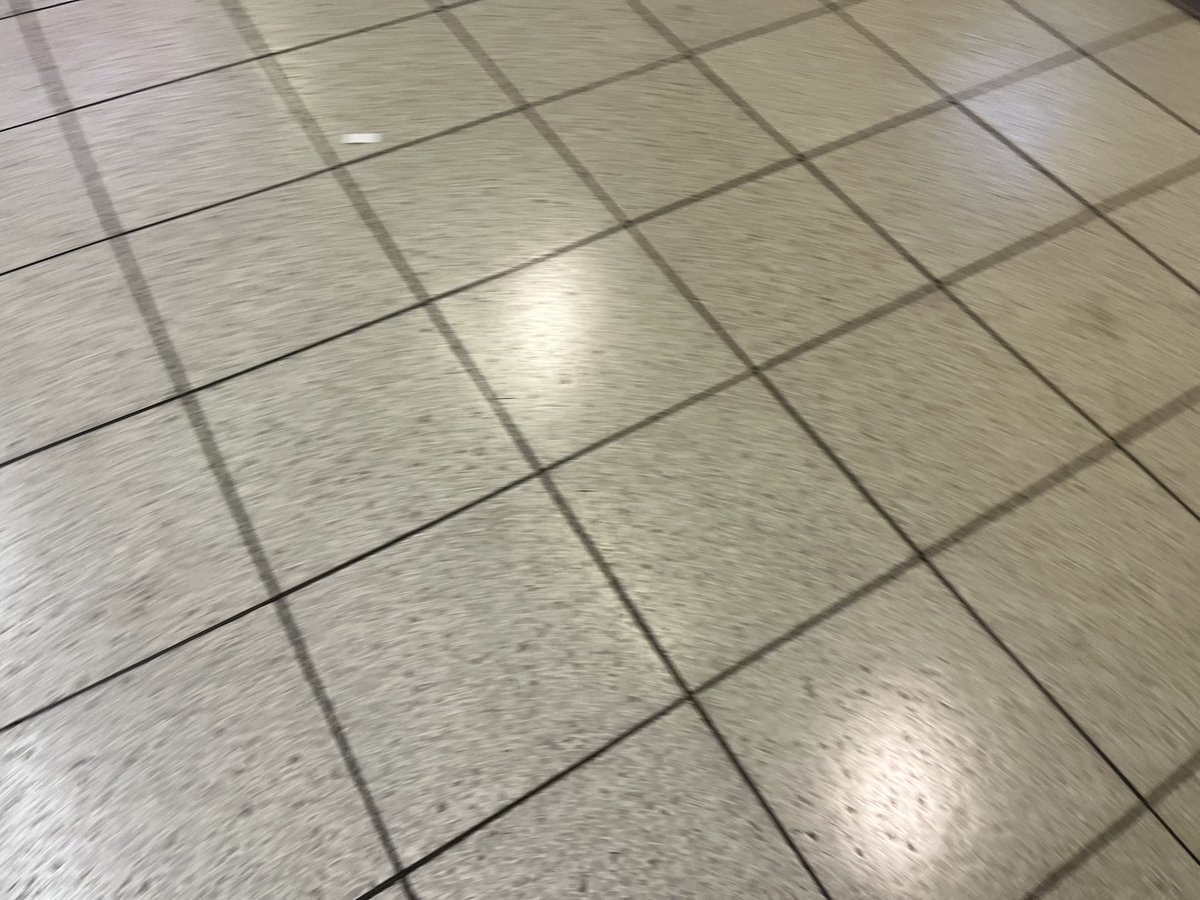 のび@結婚制度と恋愛文化を見直す党 - 党首 tweet media