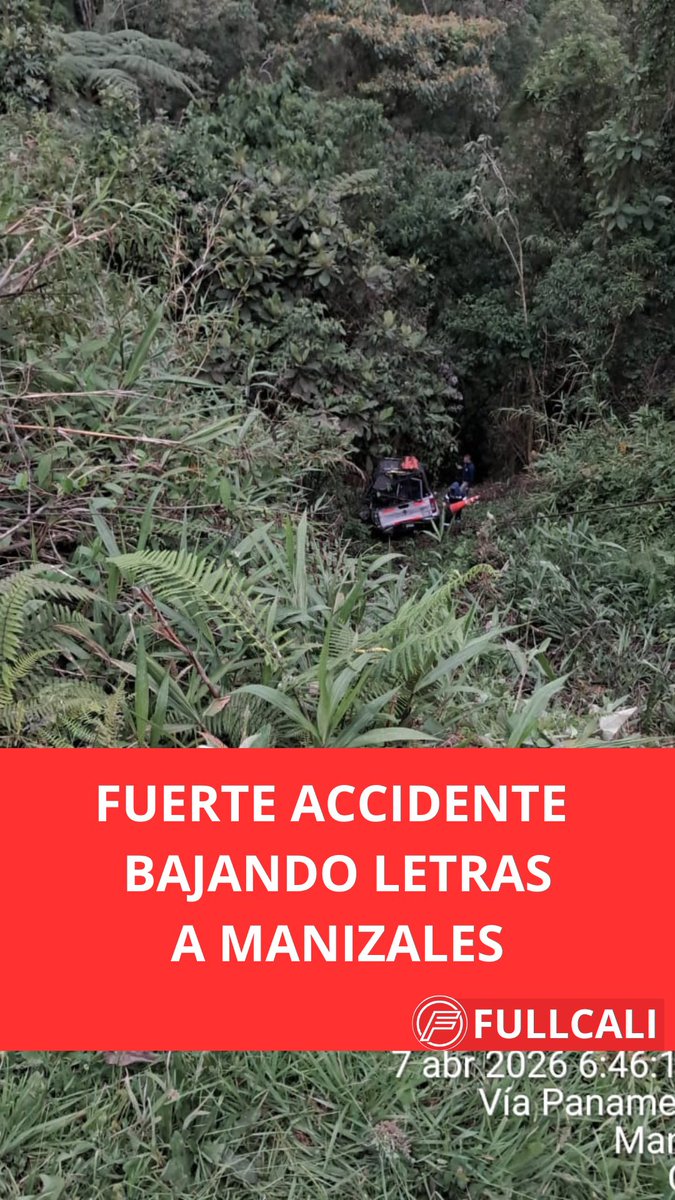 FULLCALI tweet media