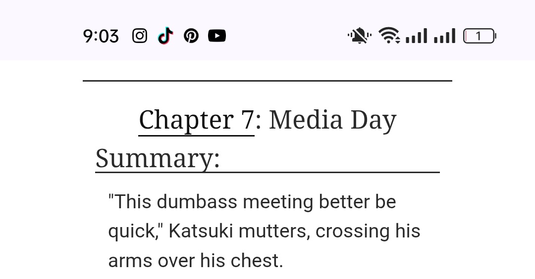 agent max 𖦹 ❇️💥 tweet media