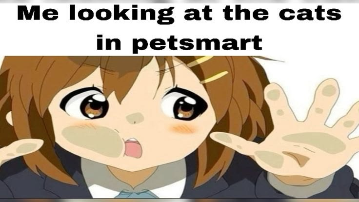 ella🌸 tweet media